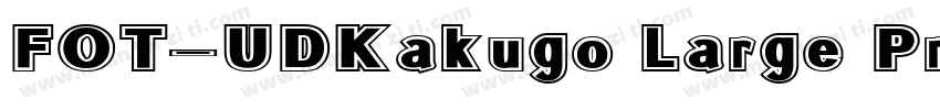 FOT-UDKakugo Large Pr6N字体转换